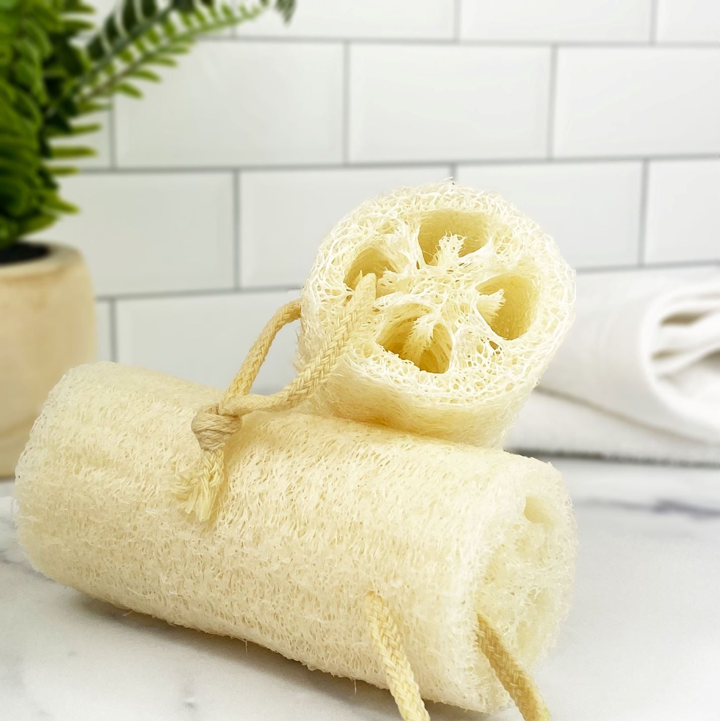 Loofah Natural Sponge | 3rd & Sycamore